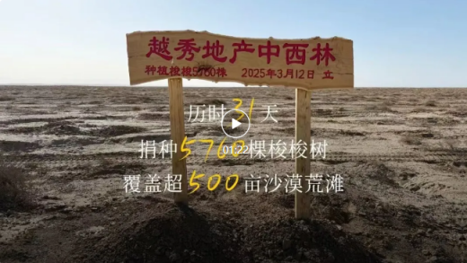 越秀地产民勤沙漠种树