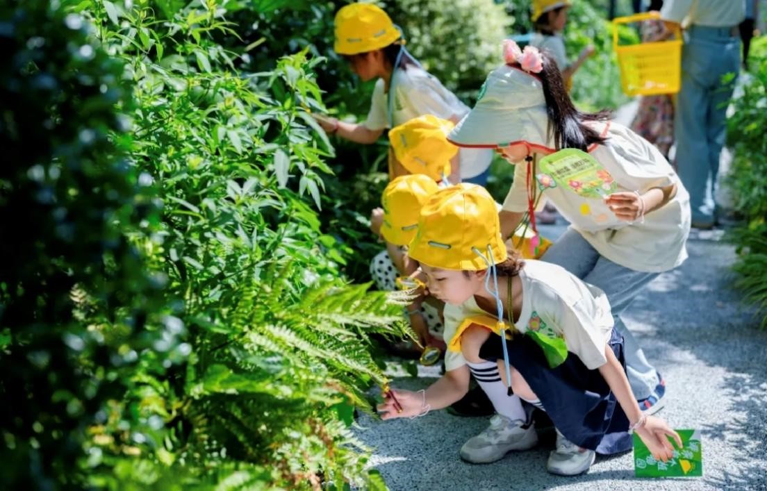 万科甜蜜课堂第七季重庆站收官：植物探索科普之旅，让暑假生活多样化